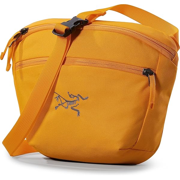Amazon | ARC'TERYX(アークテリクス) Mantis 2 Waist Pack Stone