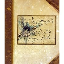 Lady Cottington's Pressed Fairy Book - Terry Jones