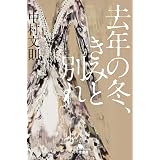 去年の冬、きみと別れ (幻冬舎文庫)