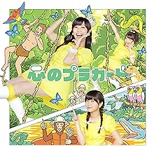 AKB 心のプラカード 通常 生写真 Amazon.co.jp: AKB48 公式生写真 心のプラカード 劇場盤 心の