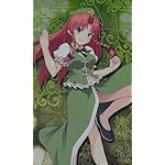 東方Project FVGA(480×800)壁紙 美鈴 東方Project FVGA(480×800)壁紙 美鈴