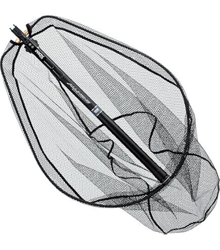 Amazon.co.jp: Apia Foojin'RS VIVOGUE 96ML+ : Sports & Outdoors