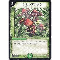 デュエルマスターズ　シビレアシダケ　プロモ　4枚 デュエルマスターズ シビレアシダケ プロモ 4枚 Amazon.co.jp