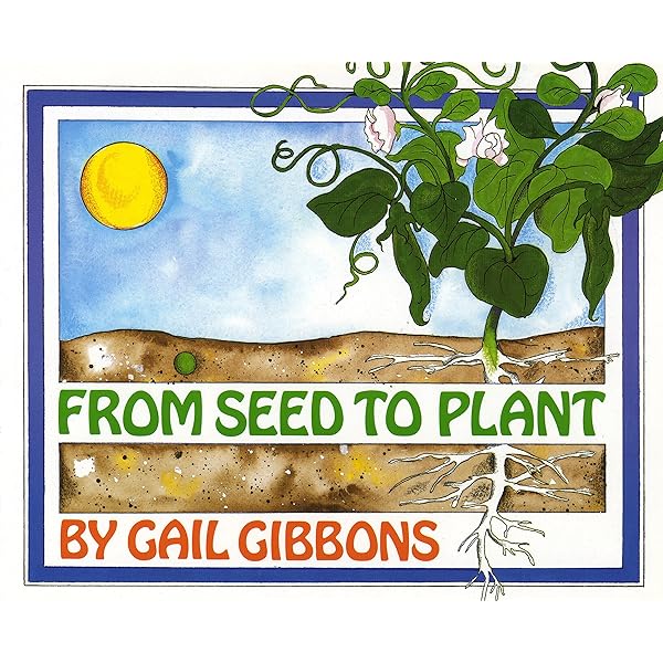 From Seed To Plant Ebook Gibbons Gail Amazon Com Au Books