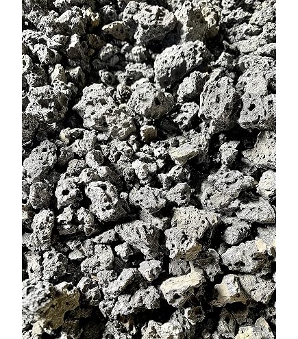 Amazon.co.jp: 富士溶岩石34.2キロ 庭石鑑賞石石盆石水石灯籠庭坪庭