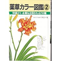 薬草カラー図鑑 2 | 伊澤 一男 |本 | 通販 | Amazon