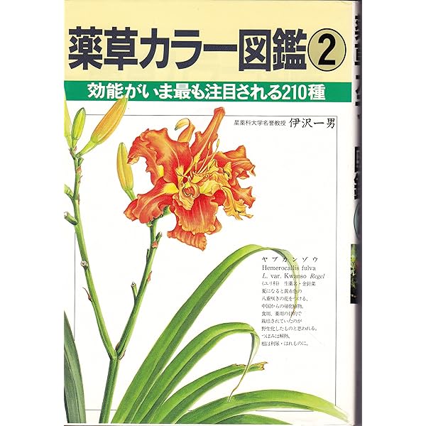 薬草カラー図鑑 1 | 伊澤 一男 |本 | 通販 | Amazon