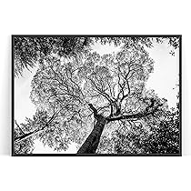 Amazon.co.jp: E.hina モノクロポスター【BLACK TREE