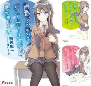 シリーズの詳細を見る