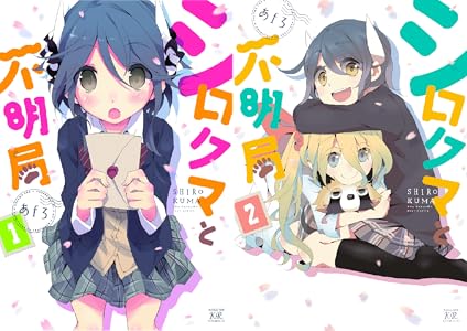 シロクマと不明局