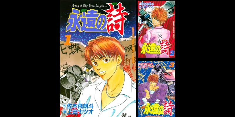 永遠の詩 全6巻 Kindle版