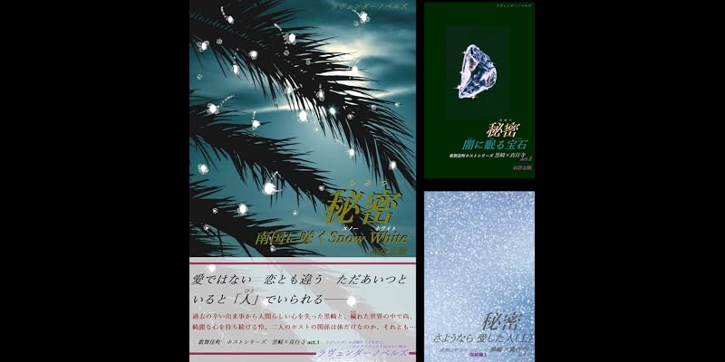 黒崎 真行寺 全4巻 Kindle版