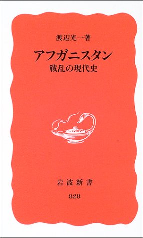 アフガニスタン戦乱の現代史 (岩波新書 新赤版 828)