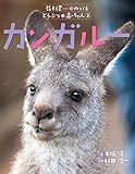 カンガルー (教科書にのってるどうぶつの赤ちゃん)