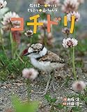 コチドリ (教科書にのってるどうぶつの赤ちゃん)