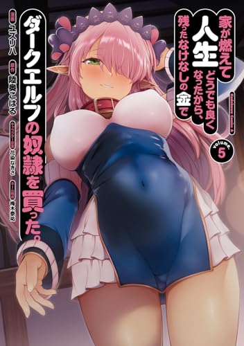 家が燃えて人生どうでも良くなったから、残ったなけなしの金でダークエルフの奴隷を買った。（5）