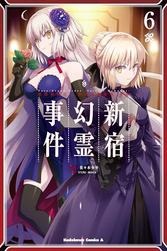 Fate/Grand Order ―Epic of Remnant― 亜種特異点I 悪性隔絶魔境 新宿 新宿幻霊事件（6）