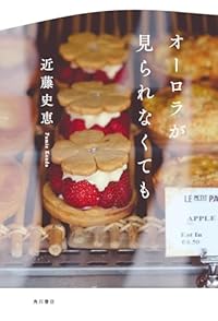 オーロラが見られなくても(単行本)