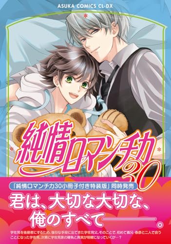 純情ロマンチカ（30）