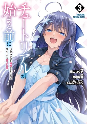 チュートリアルが始まる前に（3） ボスキャラ達を破滅させない為に俺ができる幾つかの事