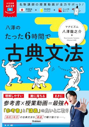 八澤のたった6時間で古典文法の表紙