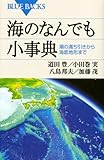 海のなんでも小事典―潮の満ち引きから海底地形まで (ブルーバックス)