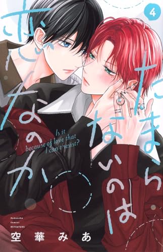 たまらないのは恋なのか（4）