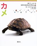 育てて、しらべる 日本の生きものずかん 6 カメ (育てて、しらべる日本の生きものずかん)