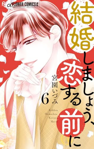 結婚しましょう、恋する前に（6）