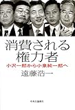 消費される権力者―小沢一郎から小泉純一郎へ