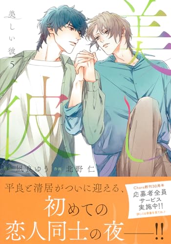 美しい彼（5）