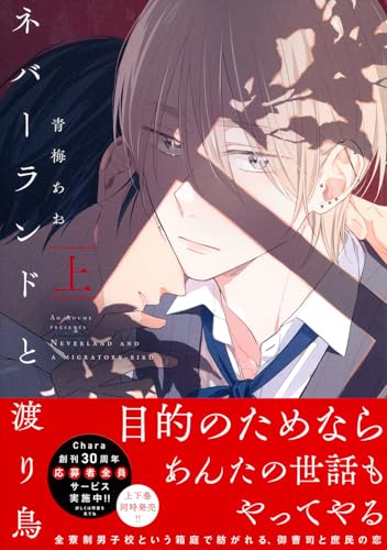 ネバーランドと渡り鳥（上）