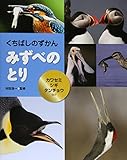 くちばしのずかん みずべのとり―カワセミ・シギ・タンチョウほか