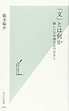 「文」とは何か 愉しい日本語文法のはなし (光文社新書)