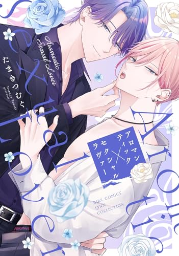 アロマンティック×セクシャルラヴァー