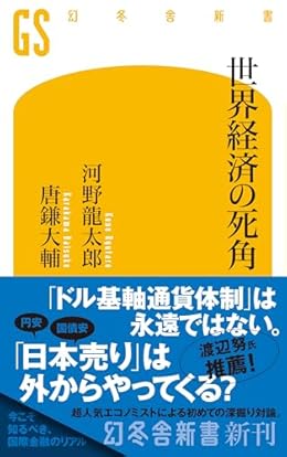 世界経済の死角（幻冬舎新書）