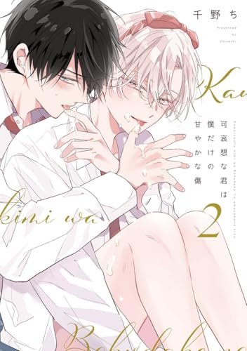 可哀想な君は僕だけの甘やかな傷（2） (ディアプラス・コミックス)