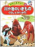 川や池のいきもの―くらしとかいかた (自然とあそぼう)