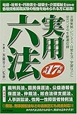 実用六法〈平成17年版〉