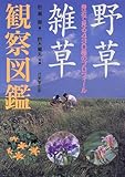 野草・雑草観察図鑑―身近で見る430種のプロフィール