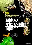 昆虫のすごい瞬間図鑑: 一度は見ておきたい!公園や雑木林で探せる命の躍動シーン