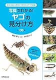 写真でわかる！ヤゴの見分け方　全130種　本州・四国・九州本土で見られるヤゴの図鑑