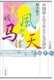 中国語とはどのような言語か (東方選書 59)