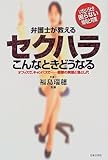弁護士が教えるセクハラこんなときどうなる―オフィスで、キャンパスで…衝撃の実態と落とし穴