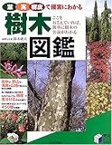 樹木図鑑―葉・実・樹皮で確実にわかる (実用BEST BOOKS)