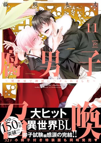 腐男子召喚～異世界で神獣にハメられました～（11）