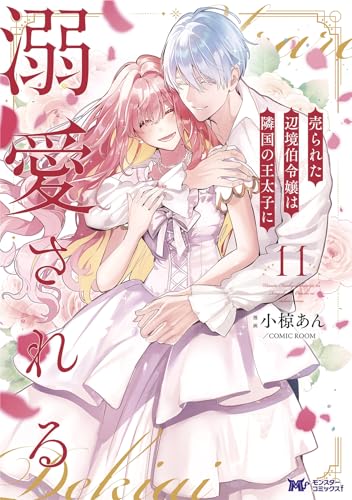 売られた辺境伯令嬢は隣国の王太子に溺愛される（11）