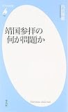 靖国参拝の何が問題か (平凡社新書)