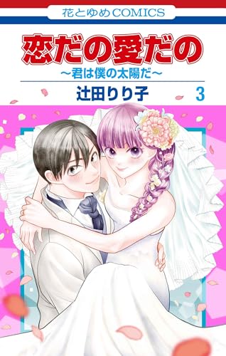 恋だの愛だの～君は僕の太陽だ～（3）（完）