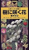 樹に咲く花―離弁花〈1〉 (山渓ハンディ図鑑)